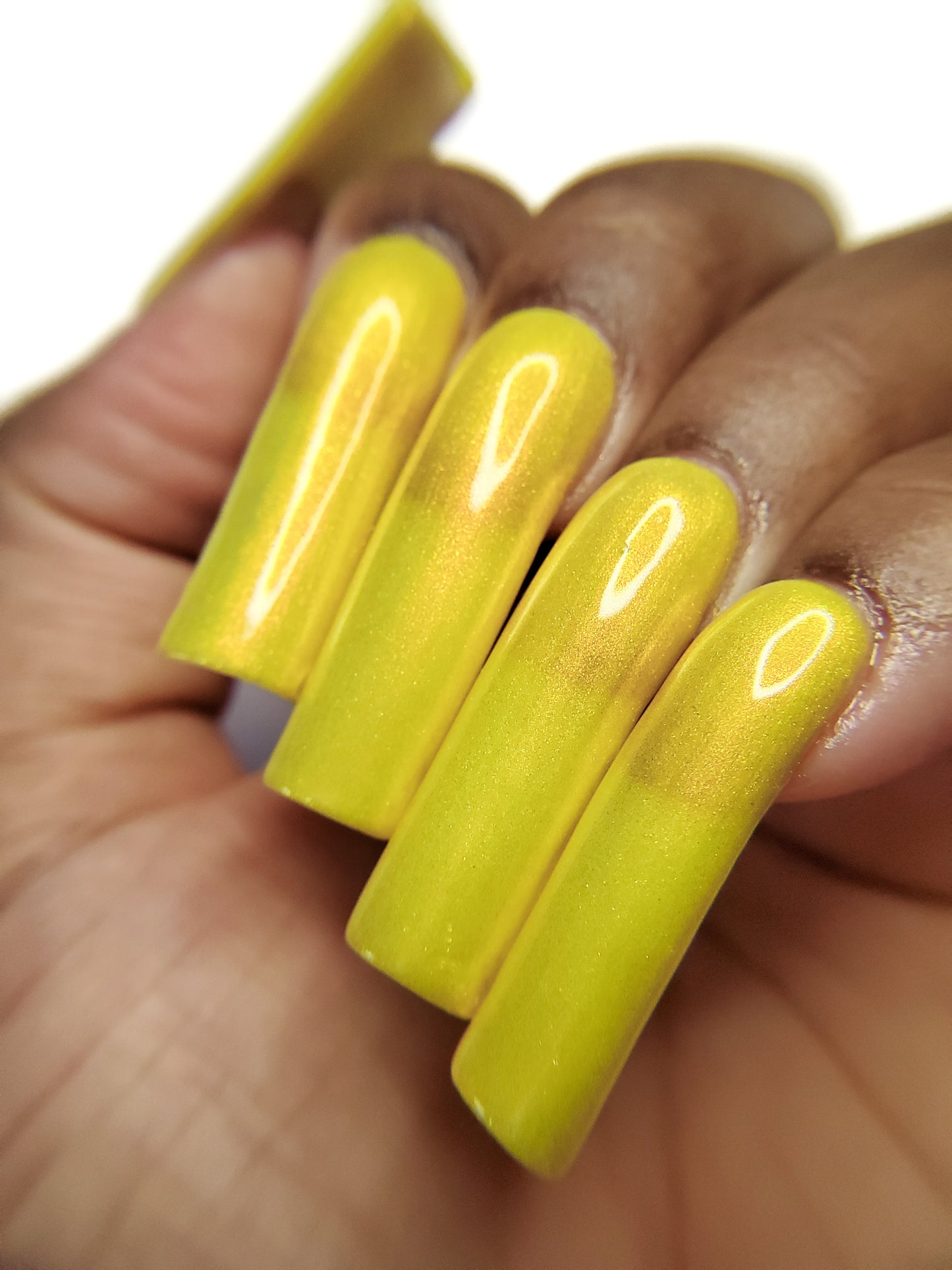Yellow Coneflower (PBE Exclusive--Limtied Edition)