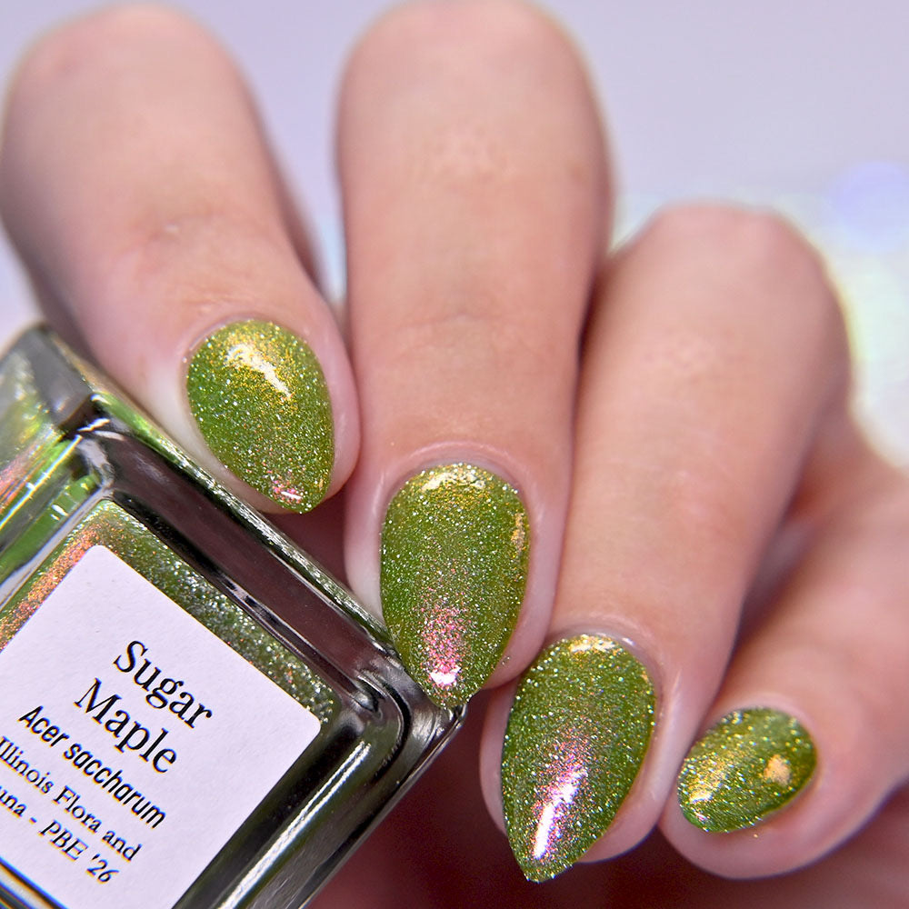 Sugar Maple (PBE Exclusive--Limited Edition)