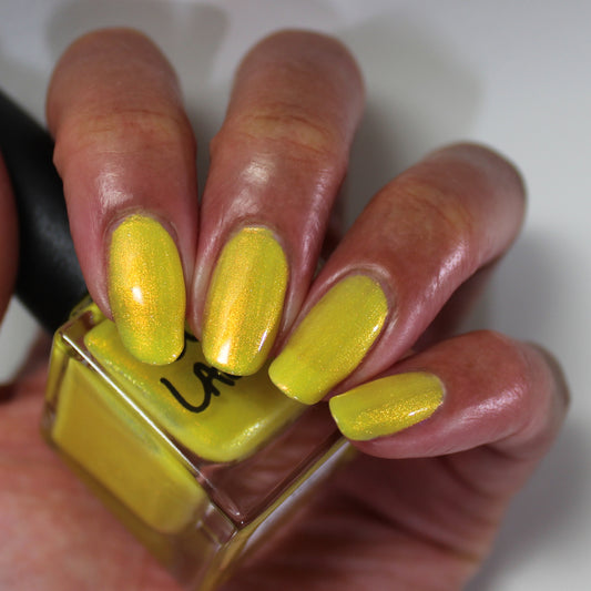 Yellow Coneflower (PBE Exclusive--Limtied Edition)
