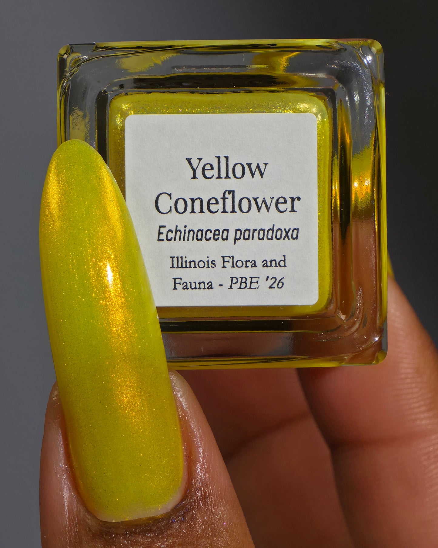 Yellow Coneflower (PBE Exclusive--Limtied Edition)