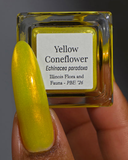 Yellow Coneflower (PBE Exclusive--Limtied Edition)