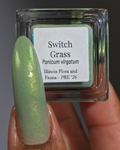 Switch Grass (PBE Exclusive--Limited Edition)