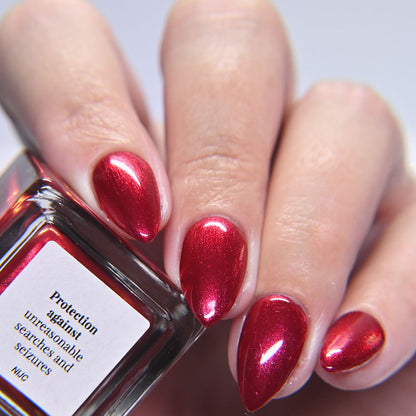 Protection Against Unreasonable Searches and Seizures