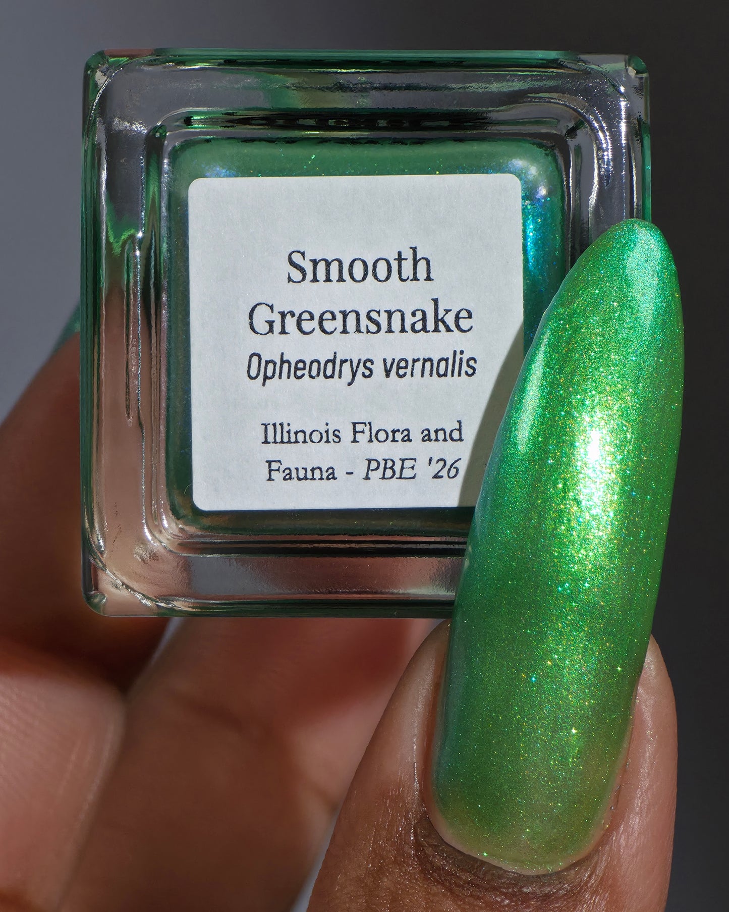 Smooth Greensnake (PBE Exclusive--Limited Edition)