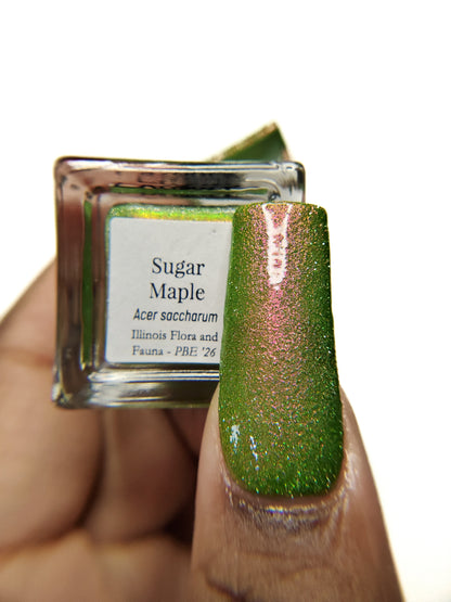Sugar Maple (PBE Exclusive--Limited Edition)