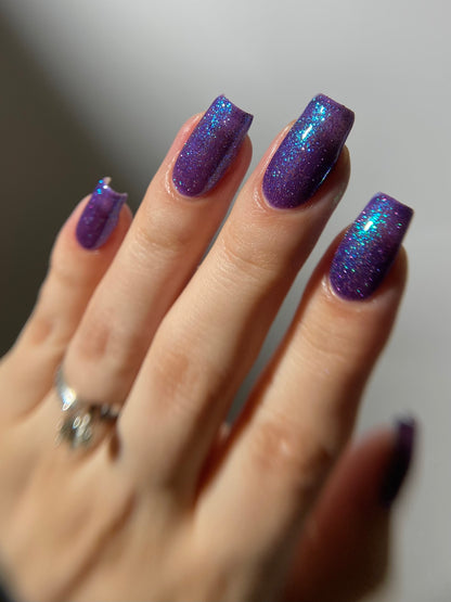 A Fancy Lady