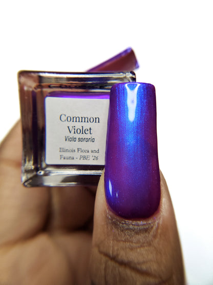 Common Violet (PBE Exclusive--Limited Edition)