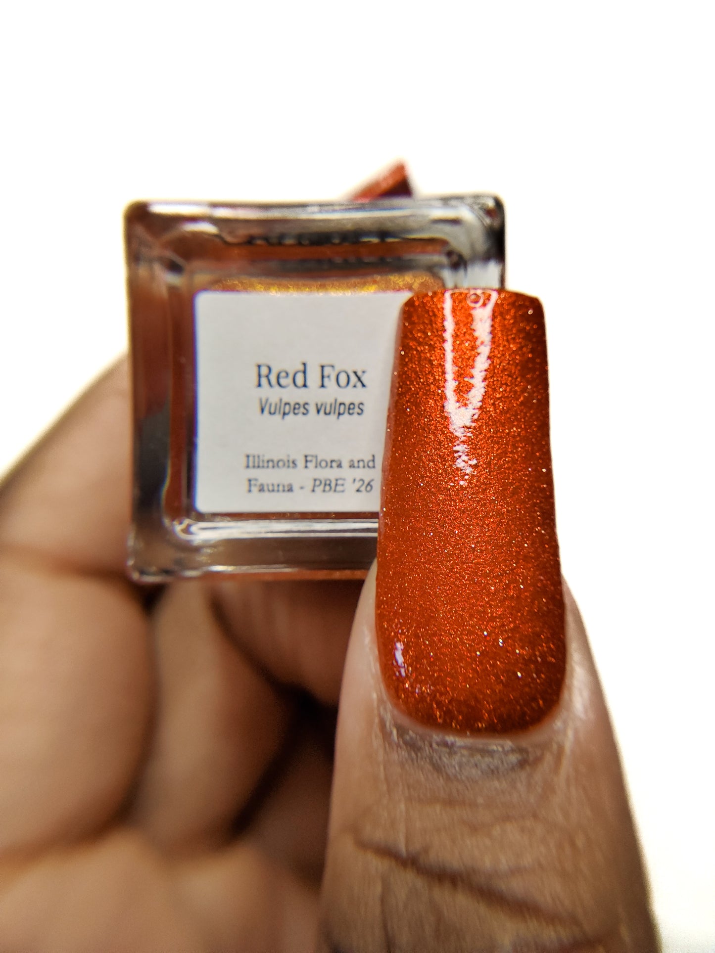 Red Fox (PBE Exclusive--Limited Edition)