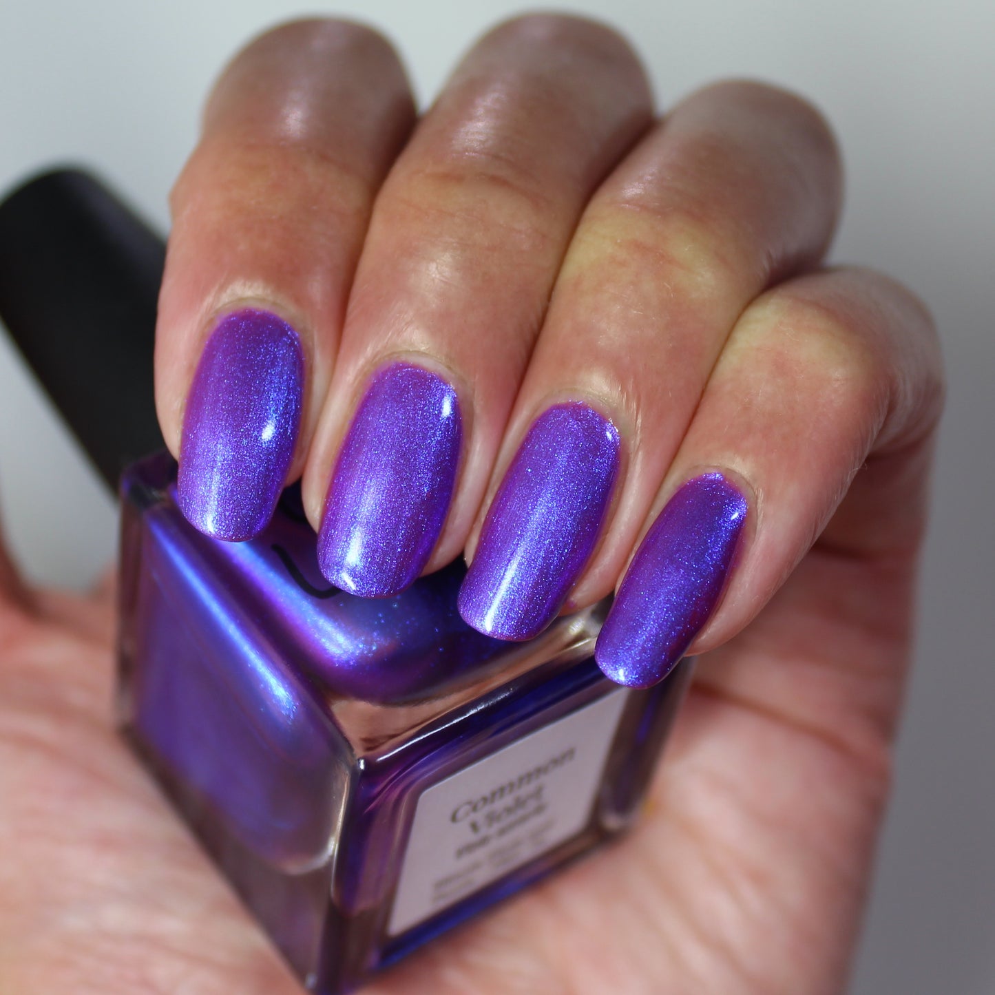 Common Violet (PBE Exclusive--Limited Edition)